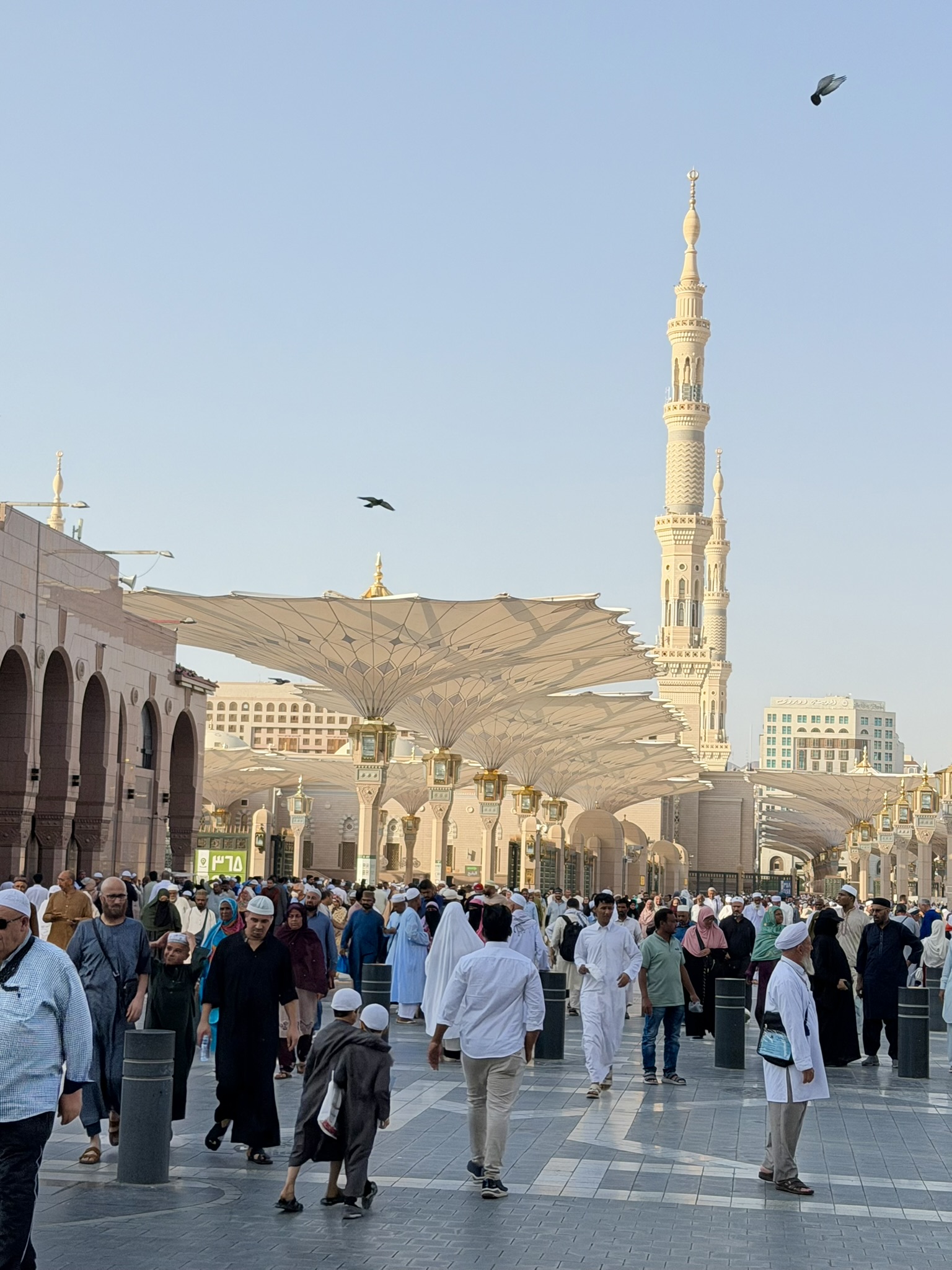 Crowds at Prophet's Mosque during daytime