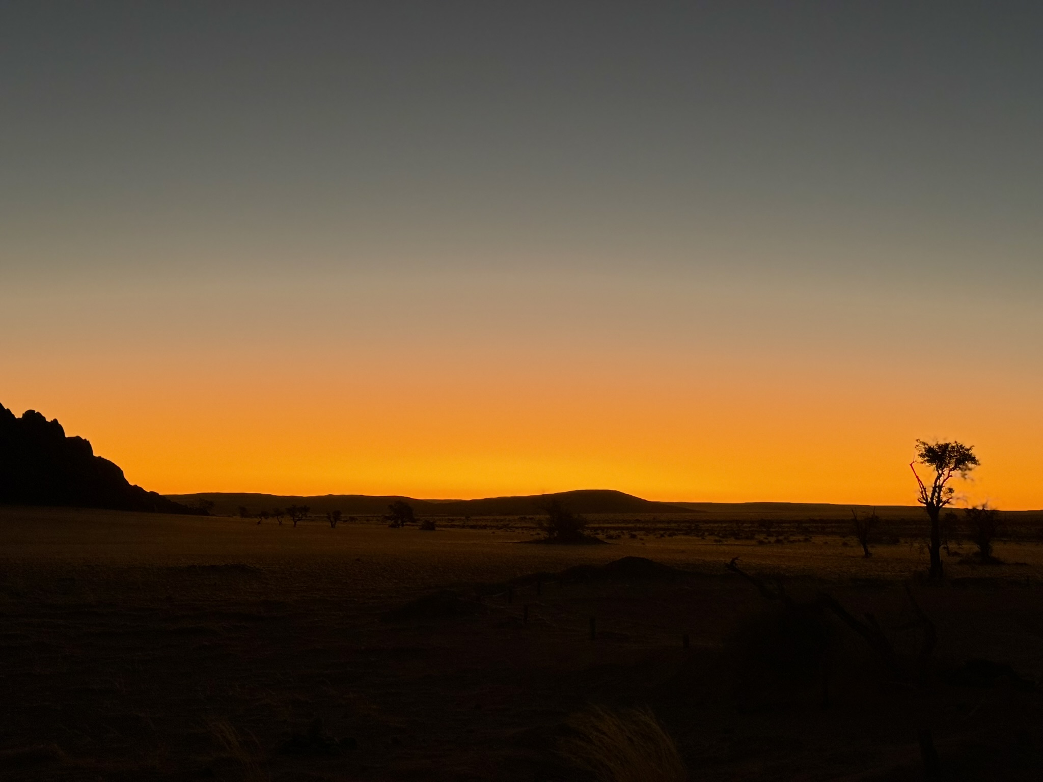 Golden sunset silhouette of desert landscape