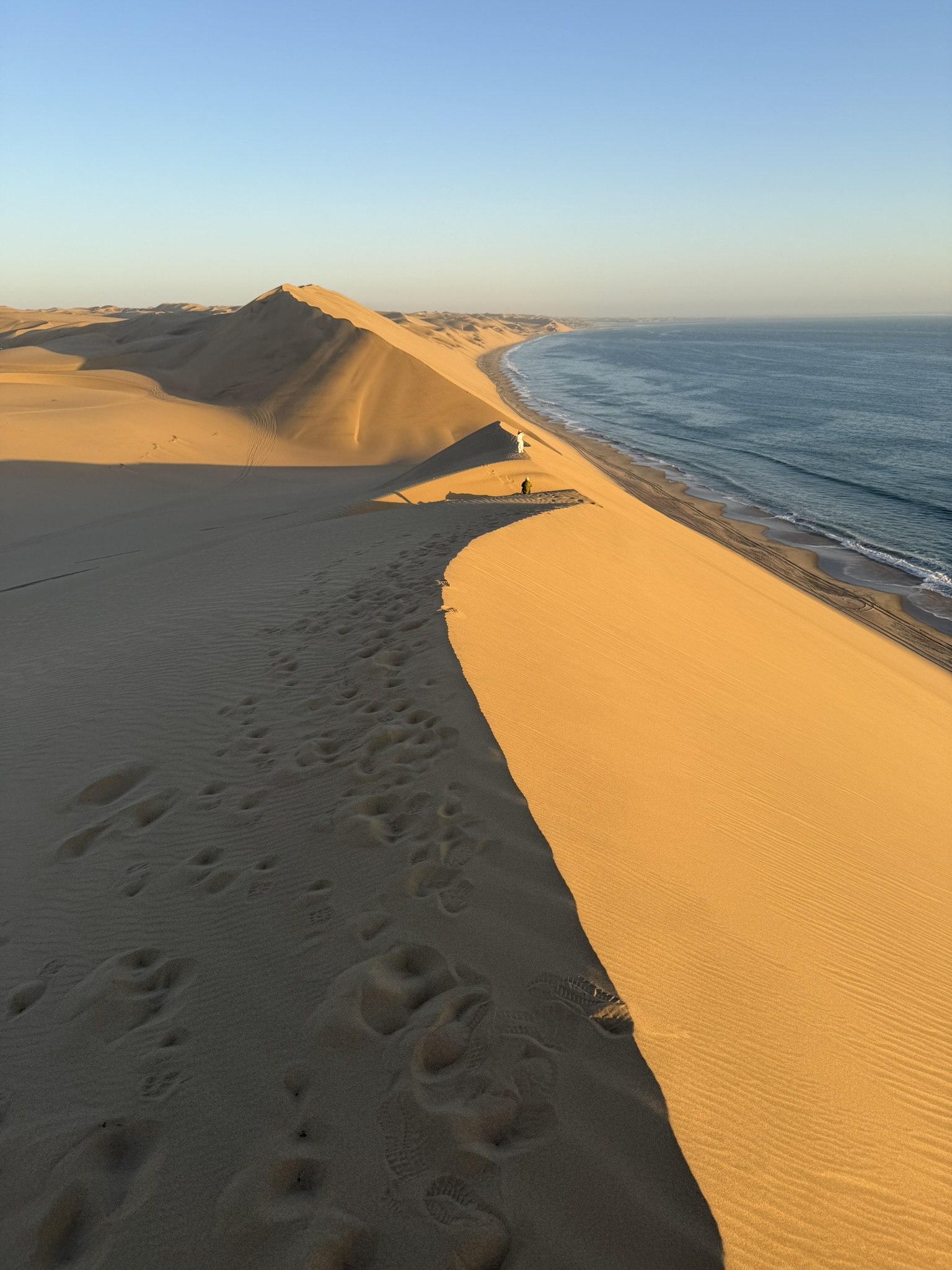 Dunes meeting the ocean with tiny figures walking on the ridge