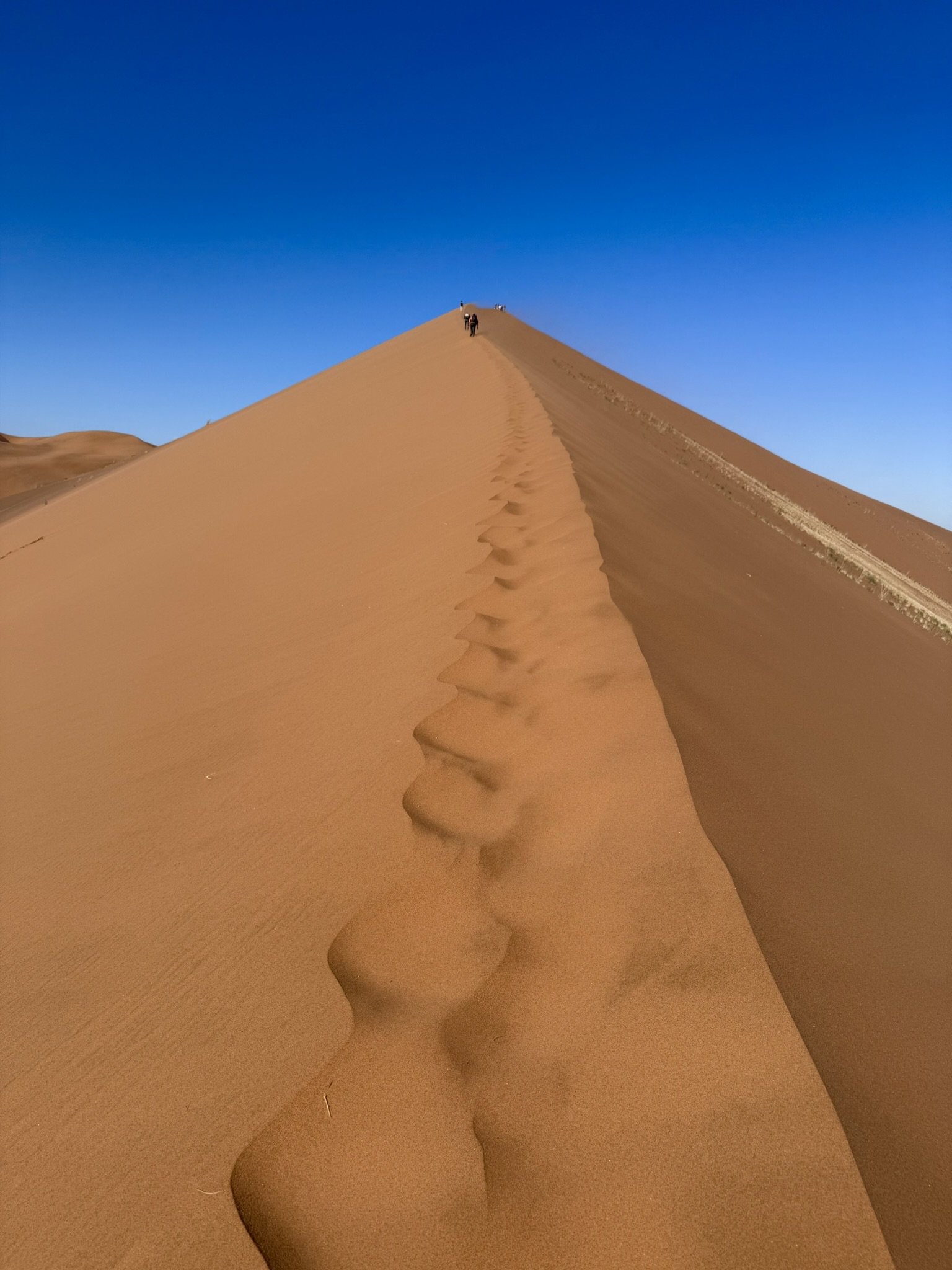 Tall dune with people climbing to the top