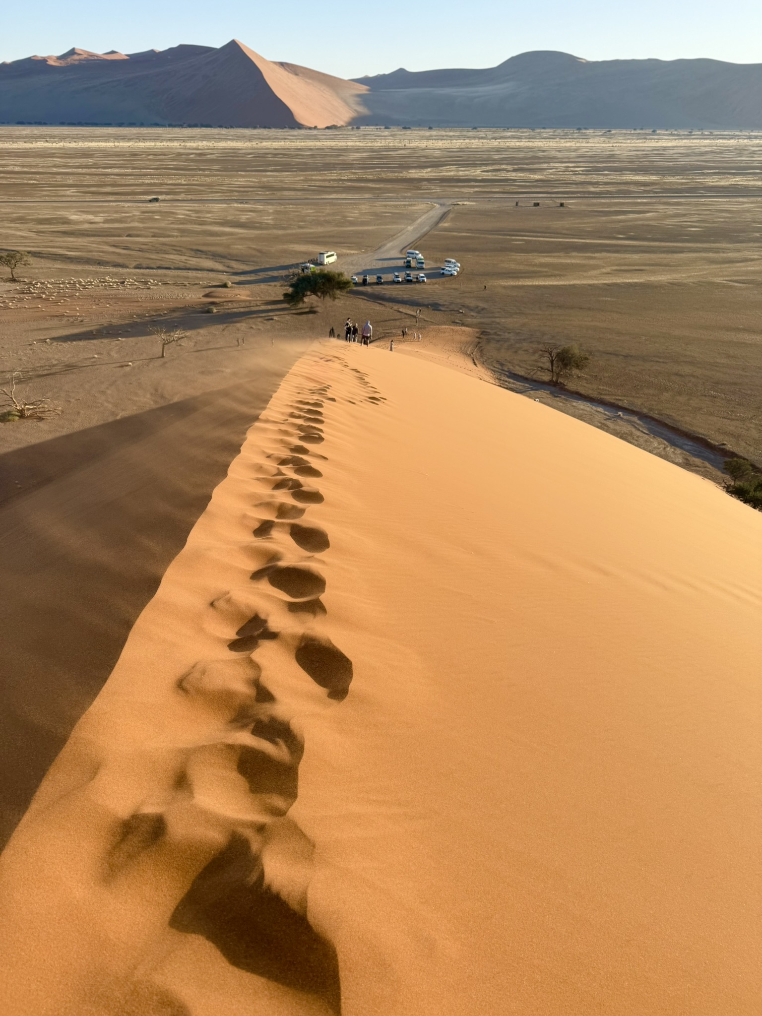 Dune ridge from above showing footprints and desert floor below