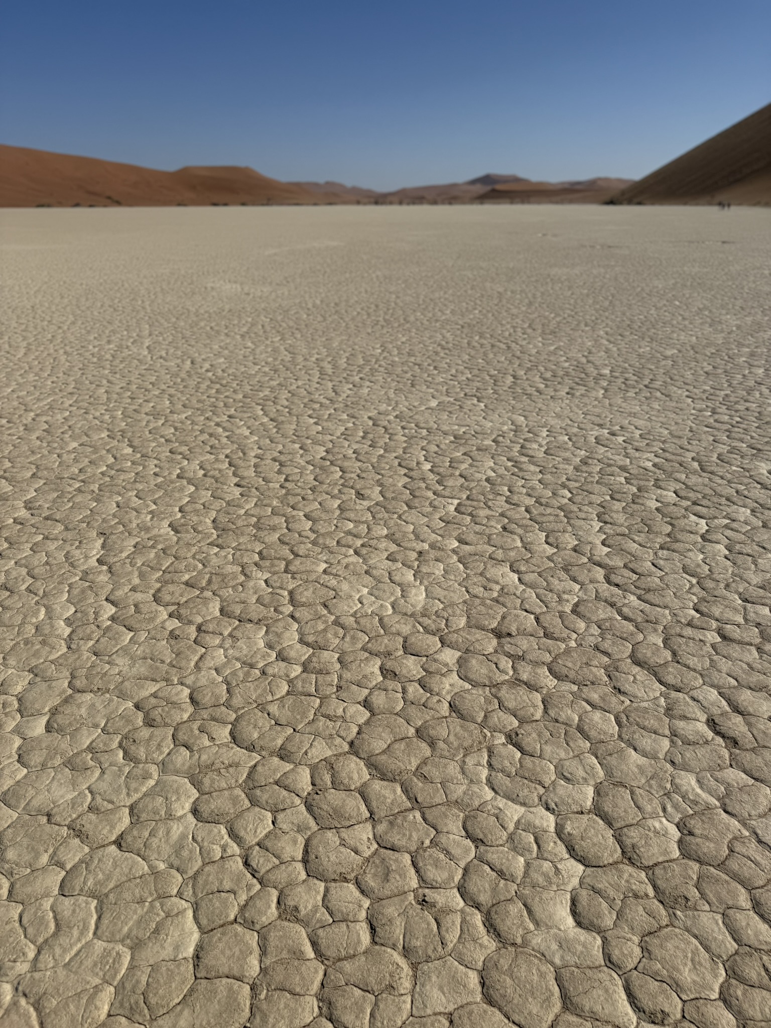 Doing a backbend against a dead tree in Dead Vlei