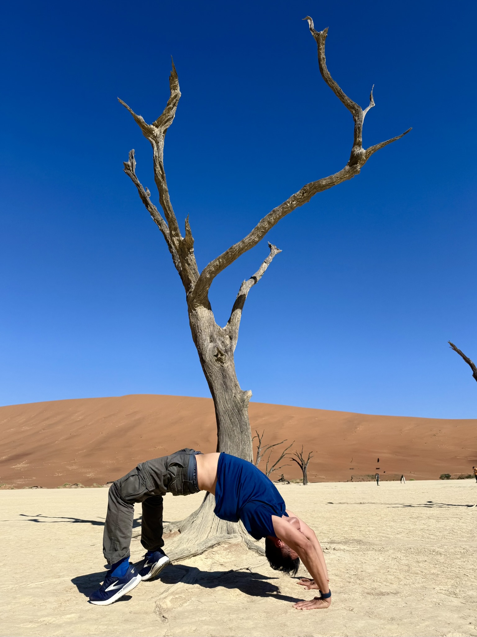 Cheetah walking away on a path with tree and mountains in background