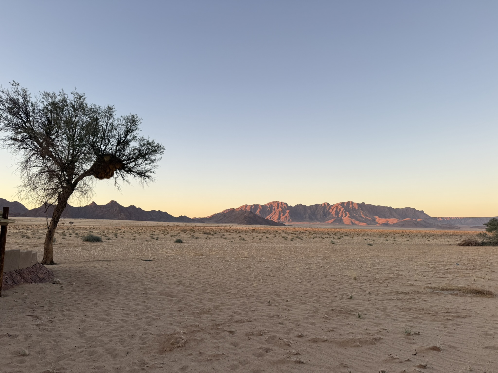 Desert landscape at dusk with tree and distant mountains